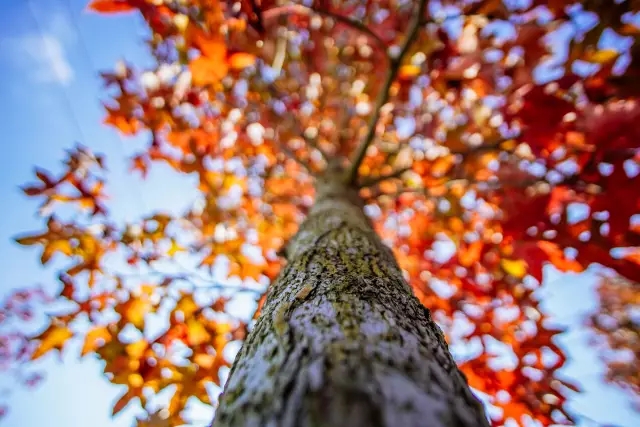 農房還能這樣改造，看80后女孩的農村自建房日記